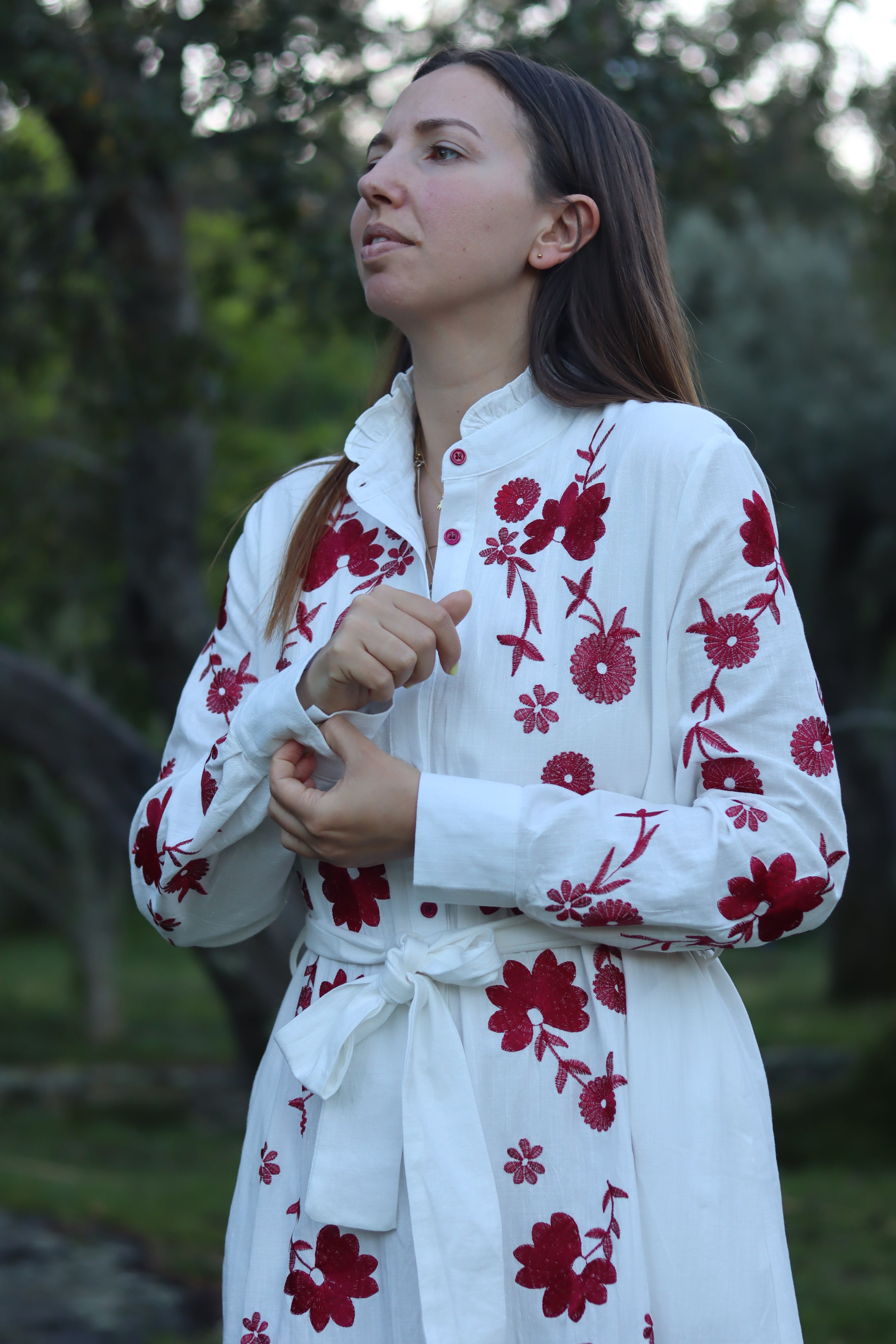 Vestido bordados encarnados
